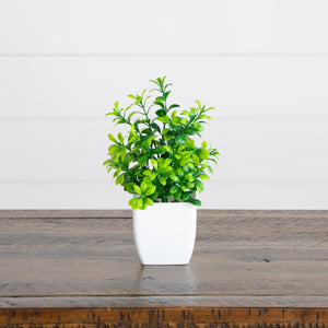 6” Artificial Mixed Botanical Plant in White Square Pot - Set of 4