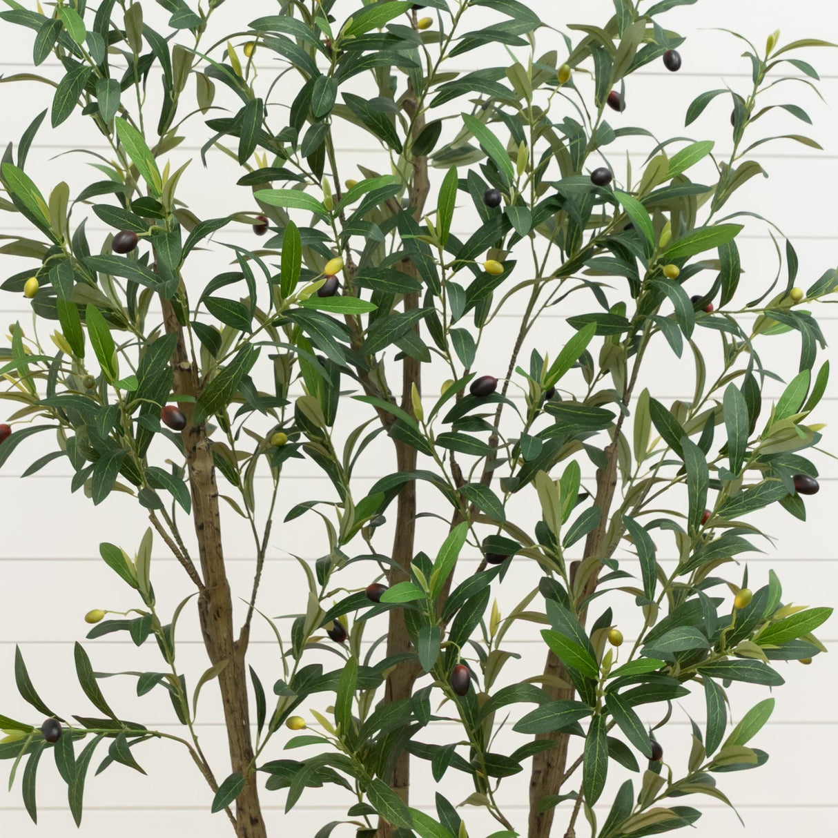 6’ Artificial Olive Tree in White Decorative Planter