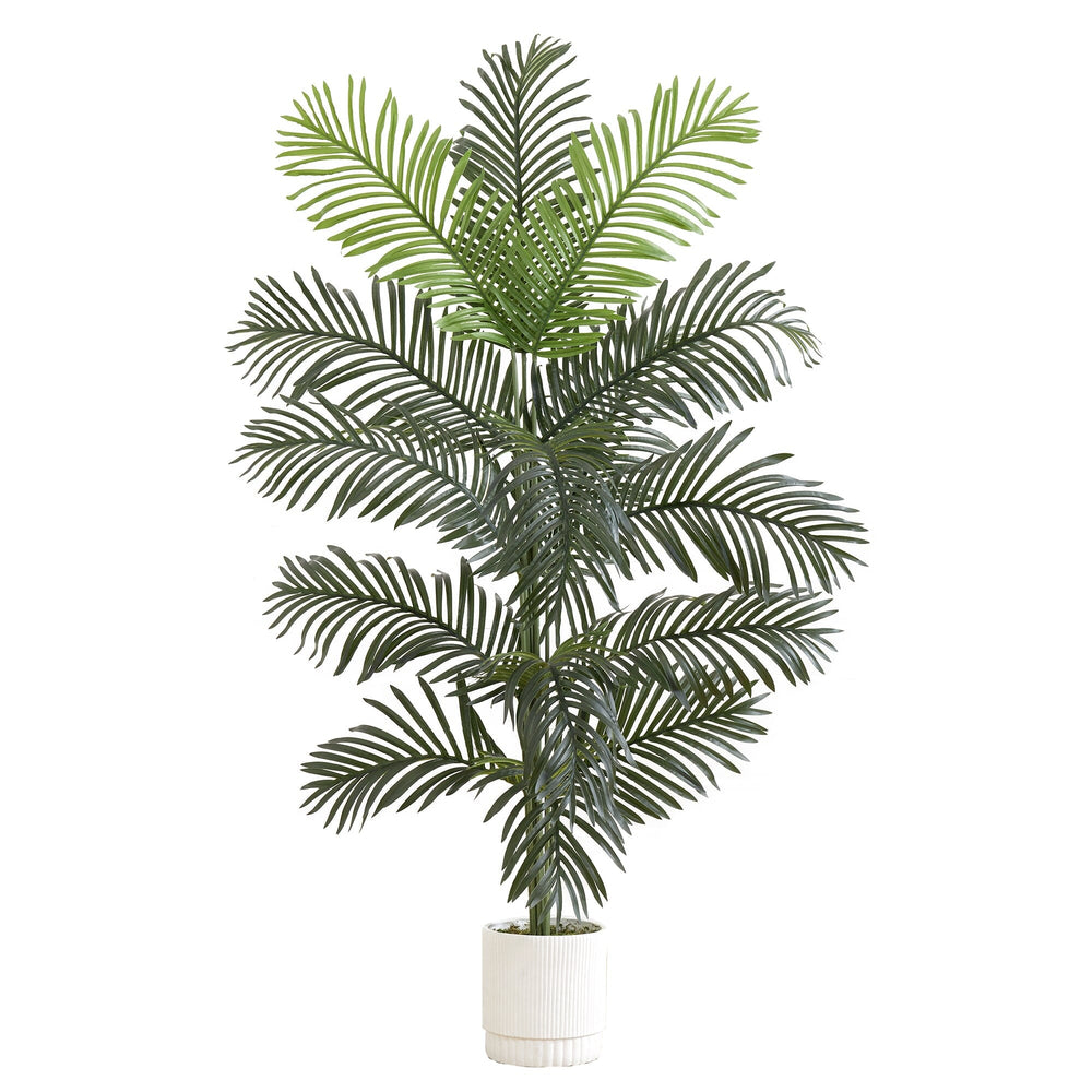 6’ Artificial Paradise Palm with White Decorative Planter