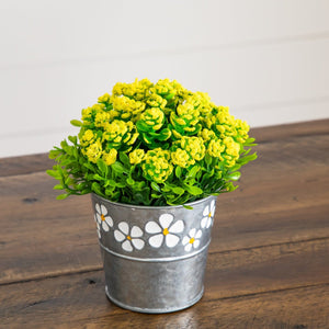 6” Artificial Succulent flowering Plant in Decorative Daisy Tin Planter -Set of 3