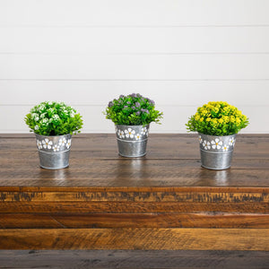 6” Artificial Succulent flowering Plant in Decorative Daisy Tin Planter -Set of 3