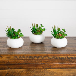 6" Artificial Succulent Garden in Ceramic White Planter - Set of 3