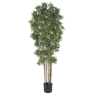 6' Bamboo Japanica Silk Tree