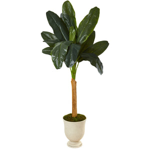 6’ Banana Artificial Tree in Decorative Urn