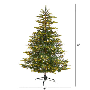 6' Barcelona Mountain Spruce Christmas Tree with 873 Bendable Branches and 450 Clear LED Lights