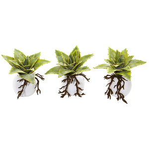 6” Dusty Succulent Artificial Plant in White Vase (Set of 3)