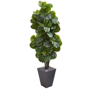 6’ Fiddle Leaf Fig Artificial Tree in Slate Planter