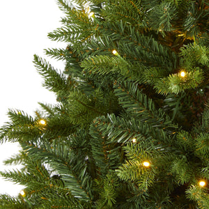 6’ Fraser Fir “Natural Look” Artificial Christmas Tree with 300 Clear LED Lights, a Burlap Base and 2113 Bendable Branches