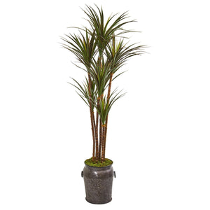 6’ Giant Yucca Artificial Tree in Decorative Planter(Indoor/Outdoor)
