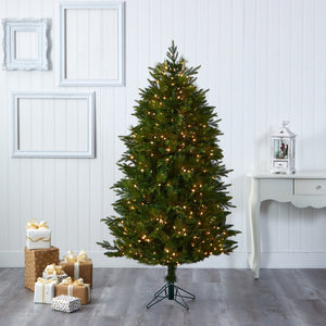 6' Hartford Fir Artificial Christmas Tree with 250 Warm (Multifunction) LED Lights with Instant Connect Technology and 711 Bendable Branches