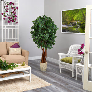 6’ Lychee Artificial Tree in Country White Planter