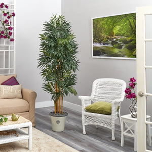 6’ Phoenix Artificial Palm tree in Decorative Planter