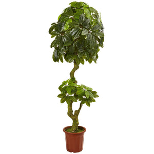 6’ Schefflera Artificial Tree UV Resistant (Indoor/Outdoor)