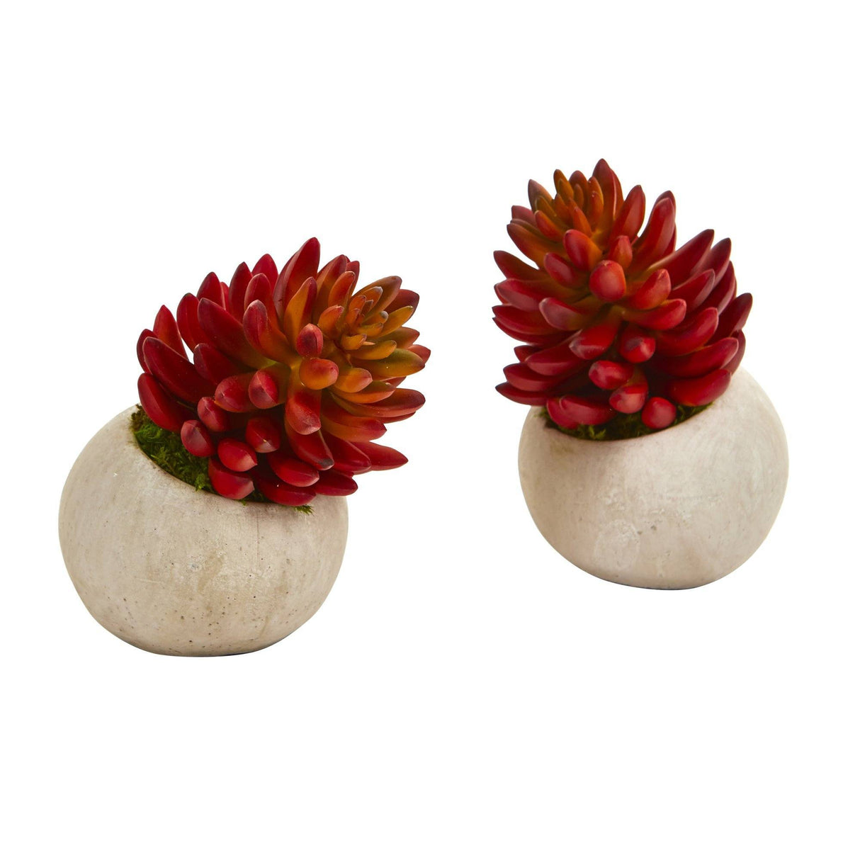 6” Succulent Artificial Plant in Stone Planter (Set of 2)