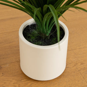 6’ UV Resistant Artificial Grass Plant in White Decorative Planter (Indoor/Outdoor)