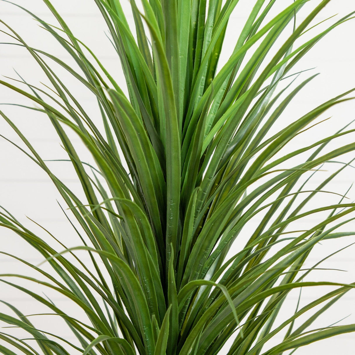 6’ UV Resistant Artificial Grass Plant in White Decorative Planter (Indoor/Outdoor)