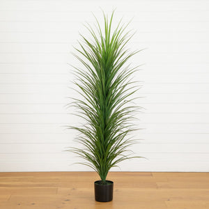 6’ UV Resistant Artificial Grass Plant (Indoor/Outdoor)