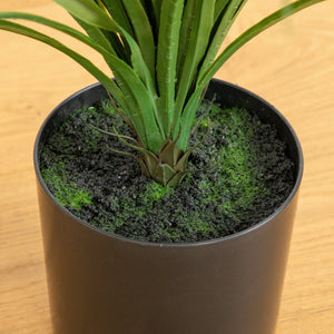 6’ UV Resistant Artificial Grass Plant (Indoor/Outdoor)