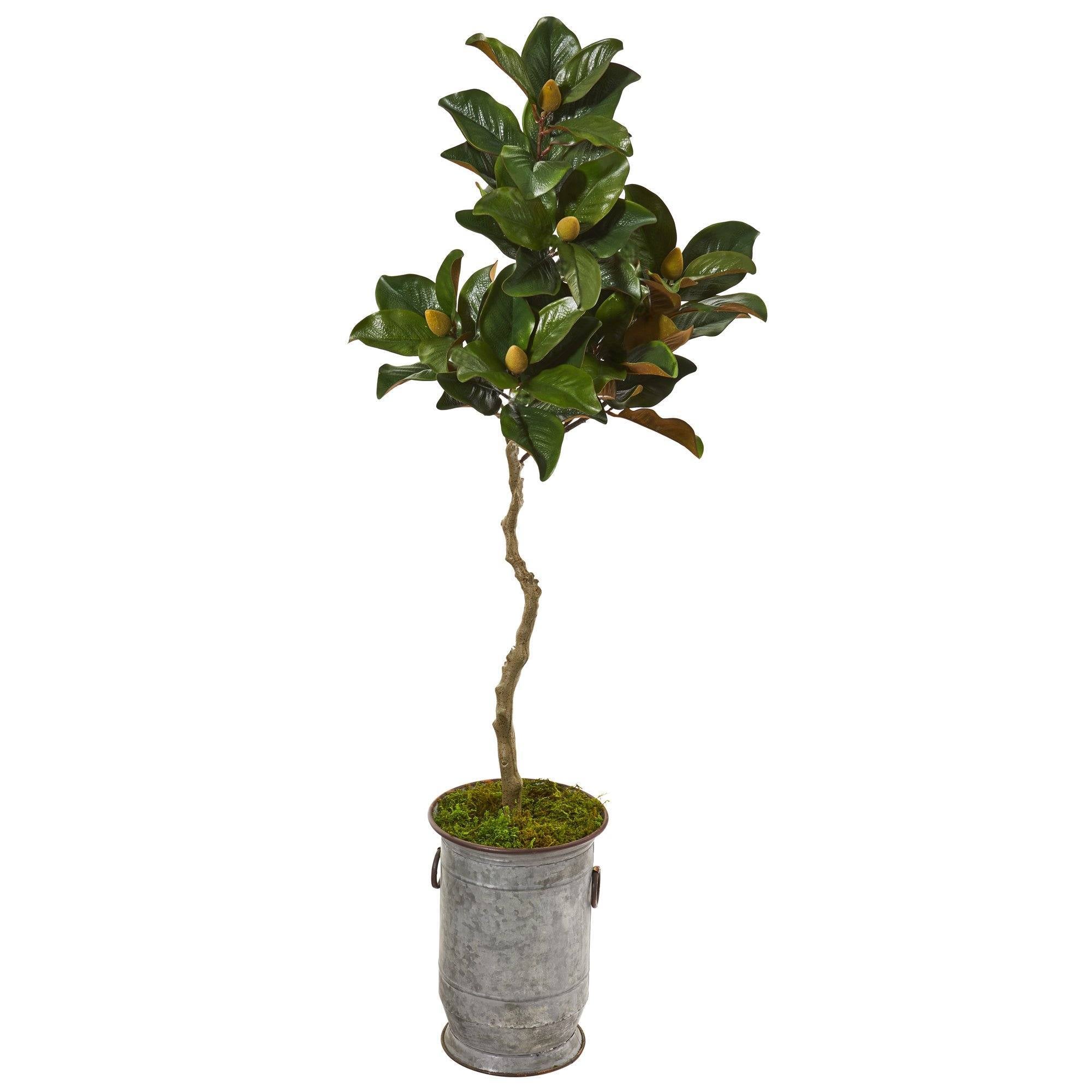 61” Magnolia Artificial Tree in Vintage Metal Planter – Tuesday