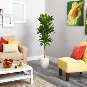 62” Dracaena Artificial Plant in White Planter (Real Touch)