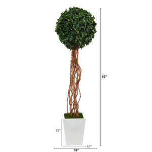 62” English Ivy Single Ball Artificial Topiary Tree in White Metal Planter (Indoor/Outdoor)