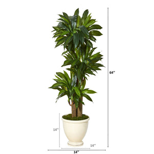 64” Corn Stalk Dracaena Artificial Plant in Urn Planter (Real Touch)