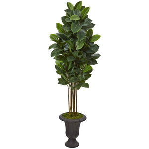64” Rubber Leaf Artificial Tree in Decorative Brown Urn
