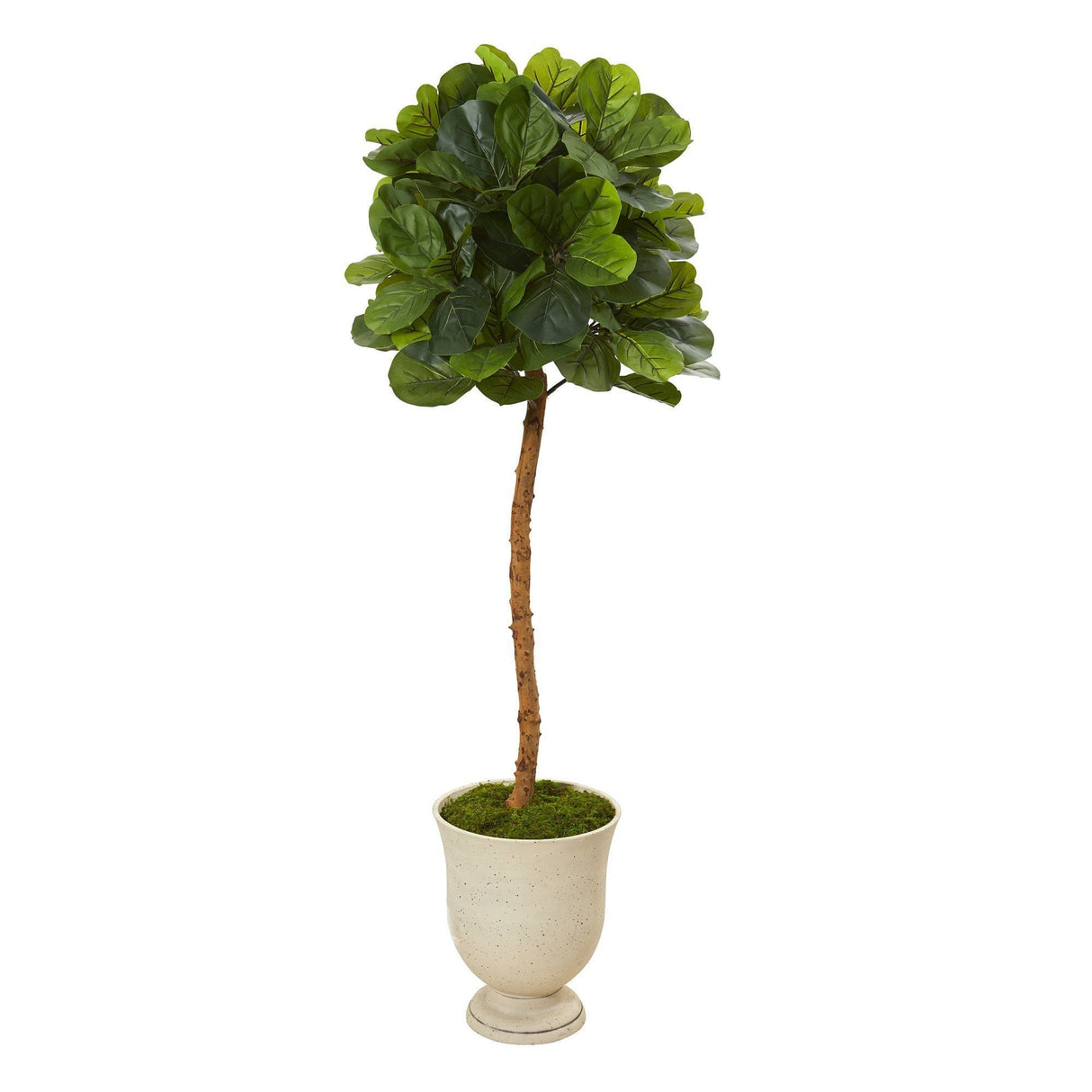 65” Fiddle Leaf Artificial Tree in Decorative Urn (Real Touch)