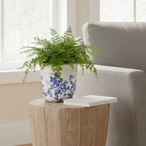 6.5” Floral Tuscan Ceramic Blue Scroll Planter