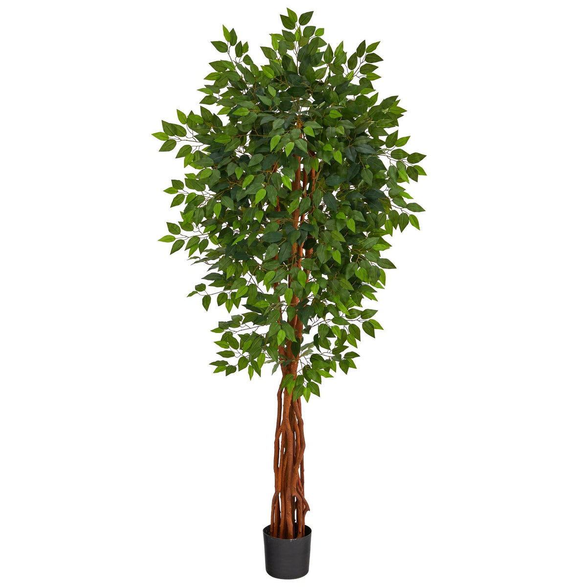 6.5’ Super Deluxe Ficus Artificial Tree with Natural Trunk – Tuesday ...