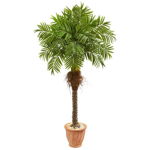 68” Robellini Palm Artificial Tree in Terra Cotta Planter