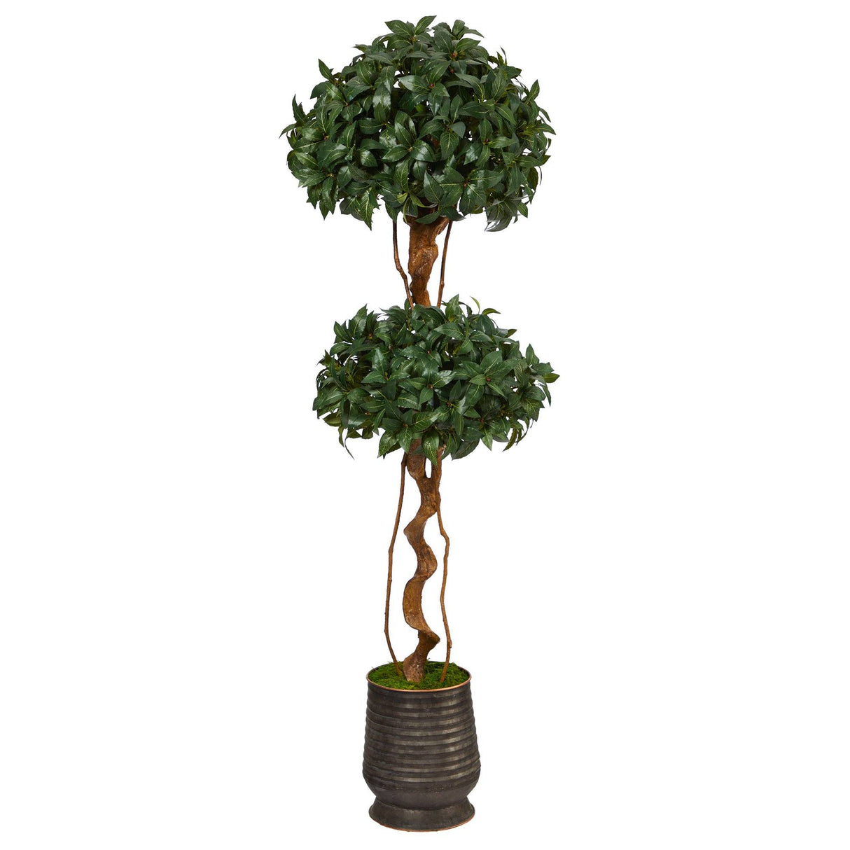 68” Sweet Bay Double Ball Topiary Artificial Tree in Ribbed Metal Planter