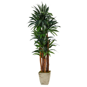 69” Dracaena Artificial Tree in Country White Planter