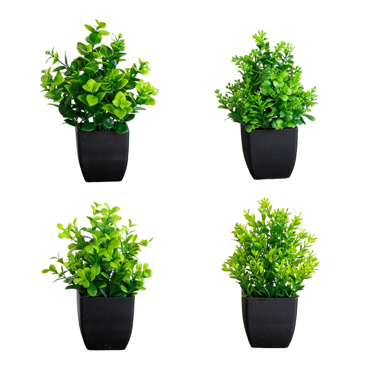 7” Artificial Assorted Green Plant in Black Square Pot - Set of 4