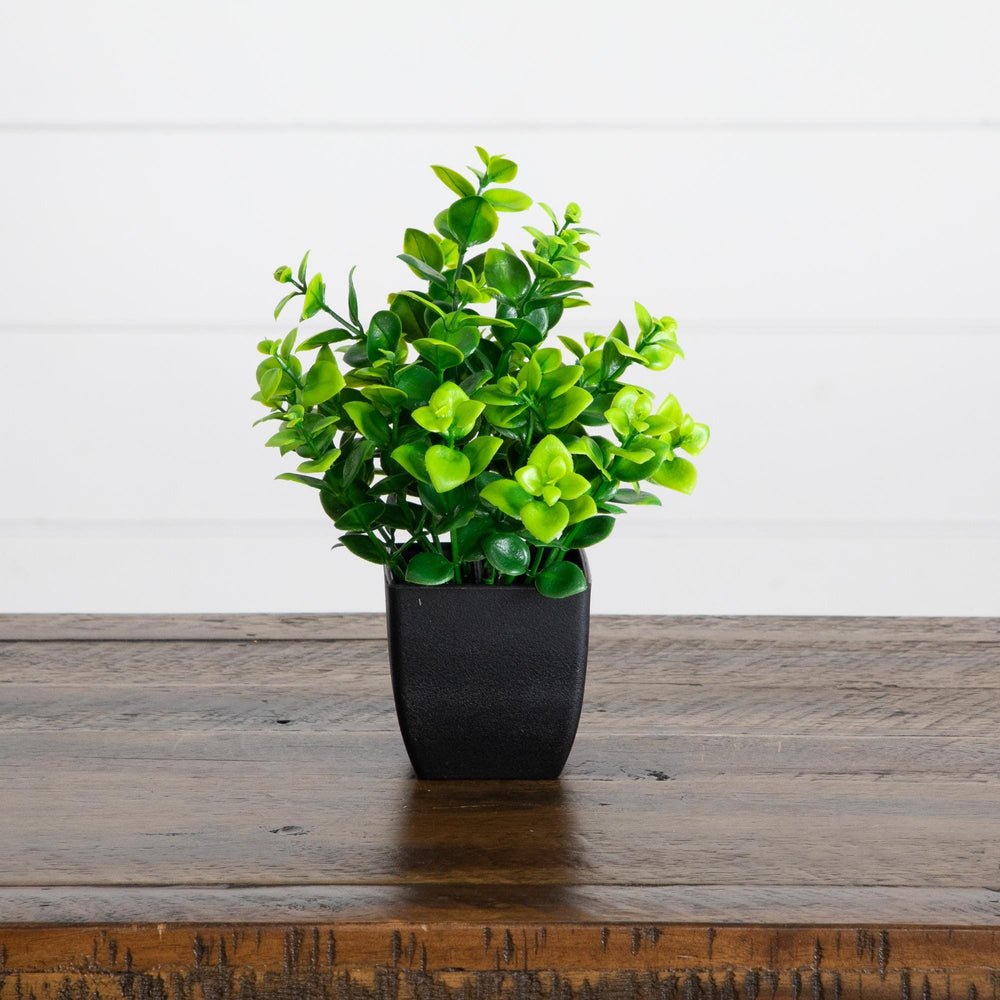 7” Artificial Assorted Green Plant in Black Square Pot - Set of 4