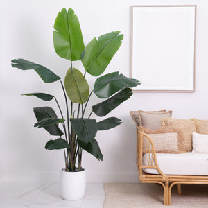 7' Artificial Bird of Paradise Tree with Resin Stone Planter