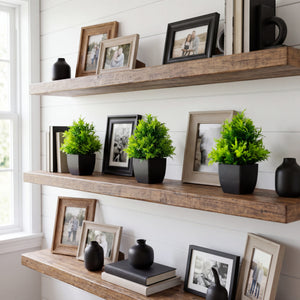 7” Artificial Cedar in Black Square Pot - Set of 3