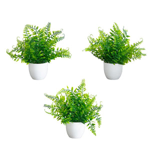 7” Artificial Fern in White Round Pot - Set of 3