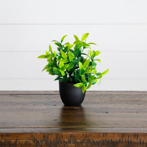 7” Artificial Mixed Botanical Plant in Black Square Pot - Set of 4