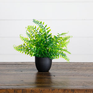 7” Artificial Mixed Botanical Plant in Black Square Pot - Set of 4