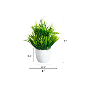 7” Artificial Mixed Evergreen Plant in White Round Pot - Set of 3