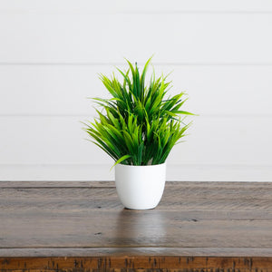 7” Artificial Mixed Evergreen Plant in White Round Pot - Set of 3