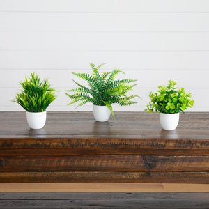 7” Artificial Mixed Evergreen Plant in White Round Pot - Set of 3