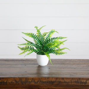 7” Artificial Mixed Evergreen Plant in White Round Pot - Set of 3