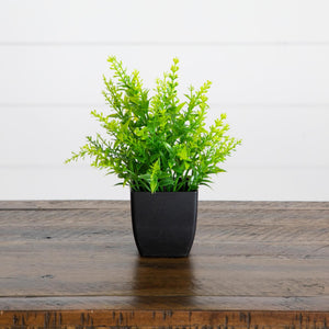 7” Artificial Mixed Topiary Plant in Black Square Pot - Set of 4