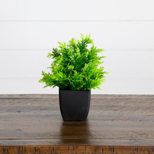 7” Artificial Mixed Topiary Plant in Black Square Pot - Set of 4