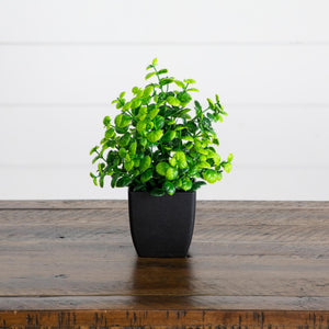 7” Artificial Mixed Topiary Plant in Black Square Pot - Set of 4