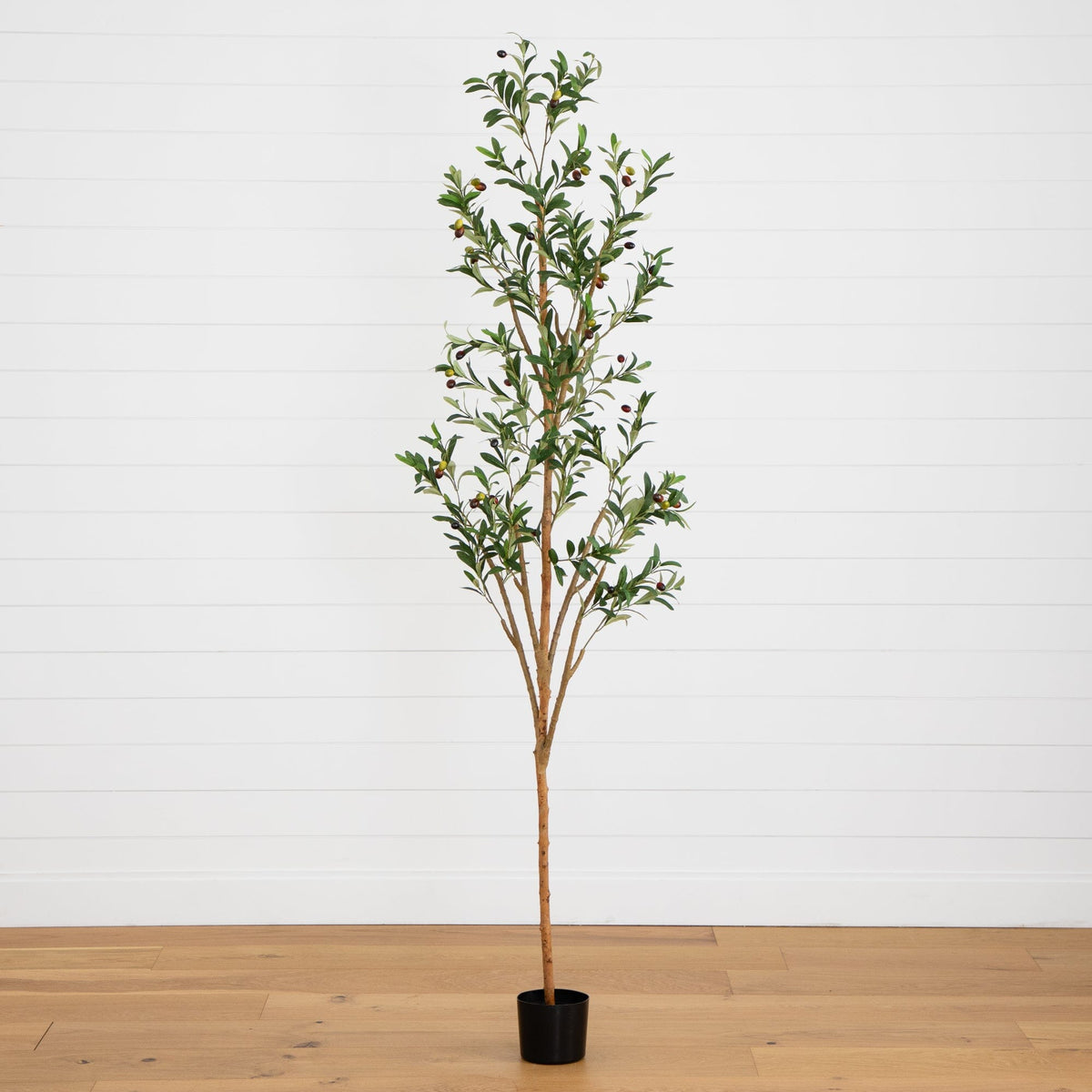 7' Artificial Olive Tree with Natural Trunk – Tuesday Morning