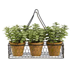 7” Mini Jade Garden Artificial Plant in Hanging Planter