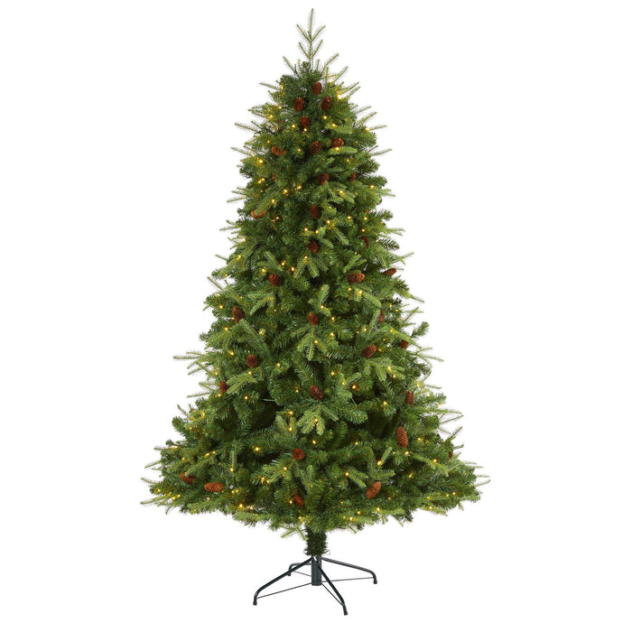 Christmas Trees